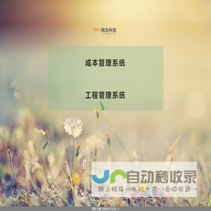 丽岛科技